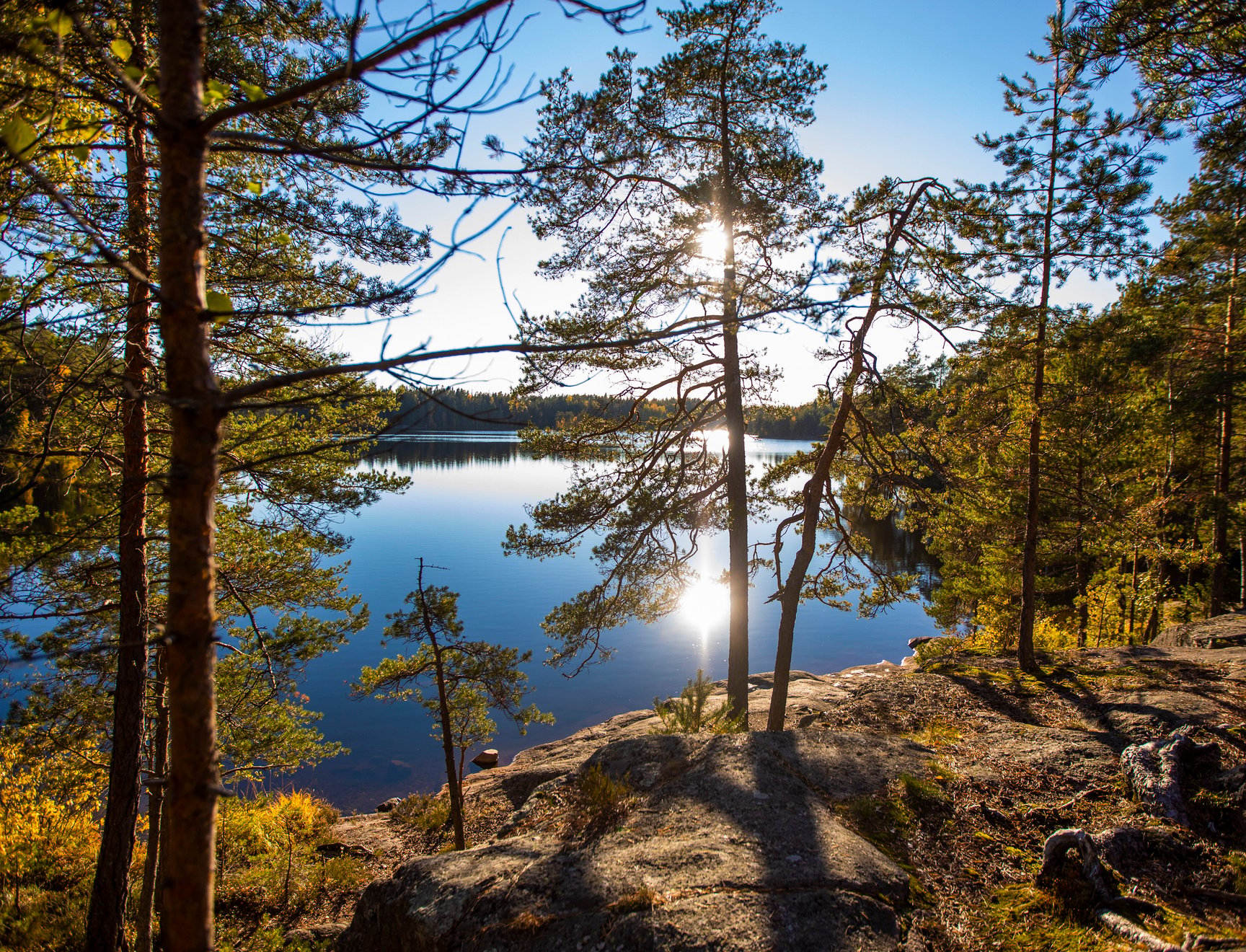 Puita kalliolla, taustalla järvi.