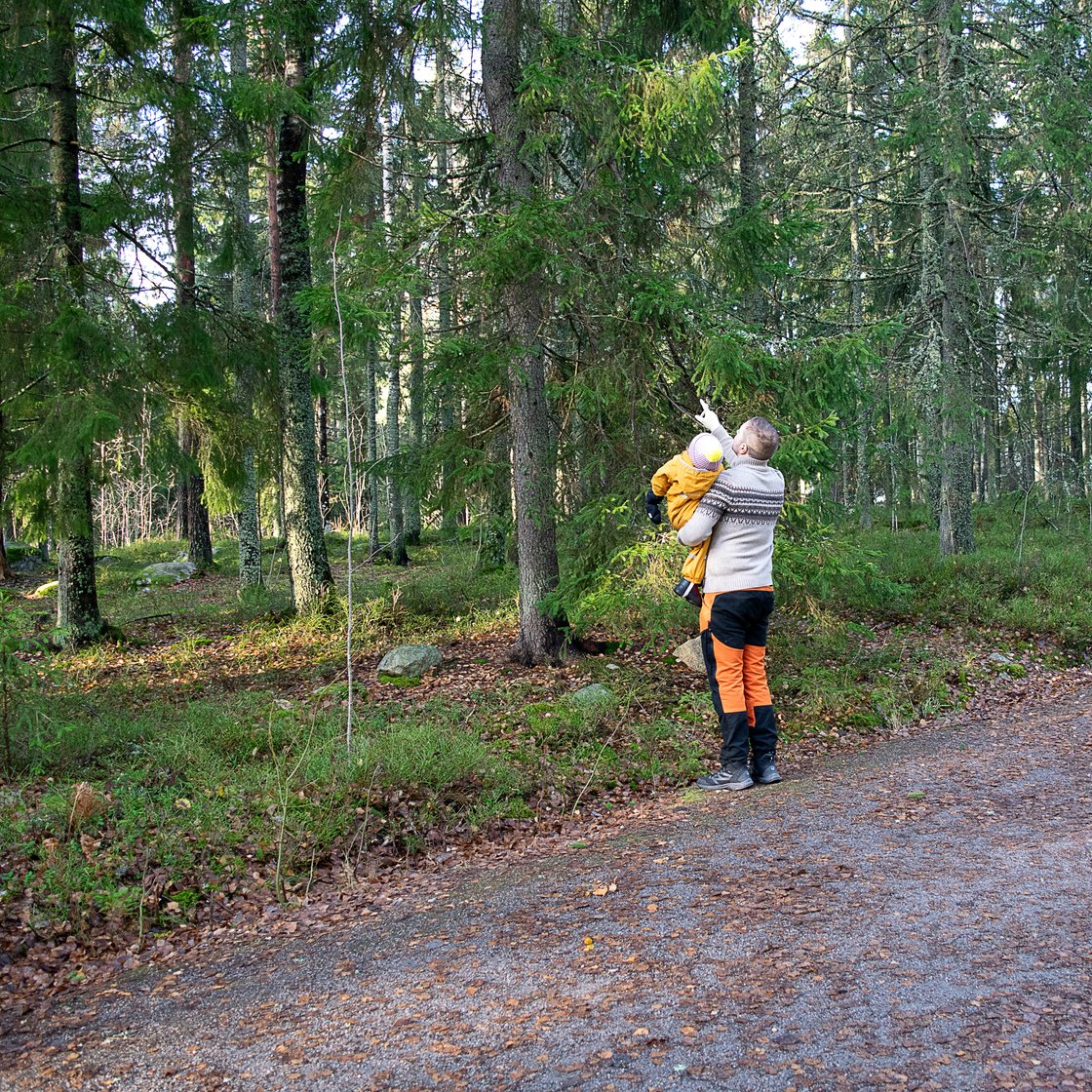 Lauri Lavanti osoittamassa puita lapselle, joka on hänen sylissään.