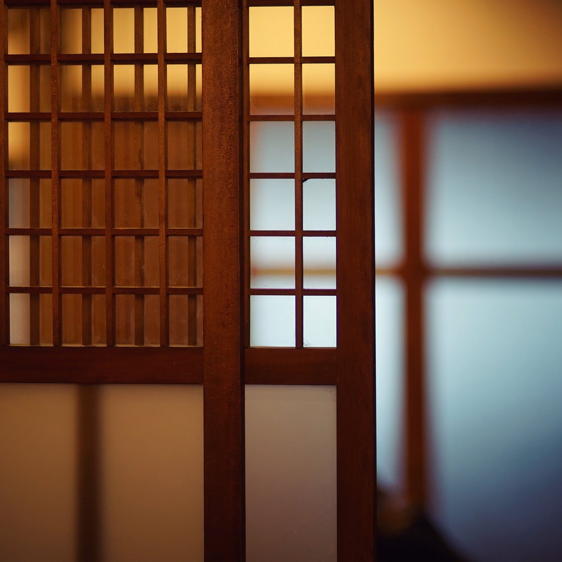 Kuva japanilaistyylisestä sermistä, jonka takana näkyy sumeasti huone.