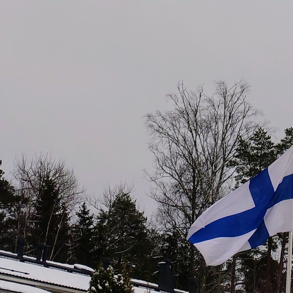 Kuva Suomen lipusta liehumassa lipputangossa