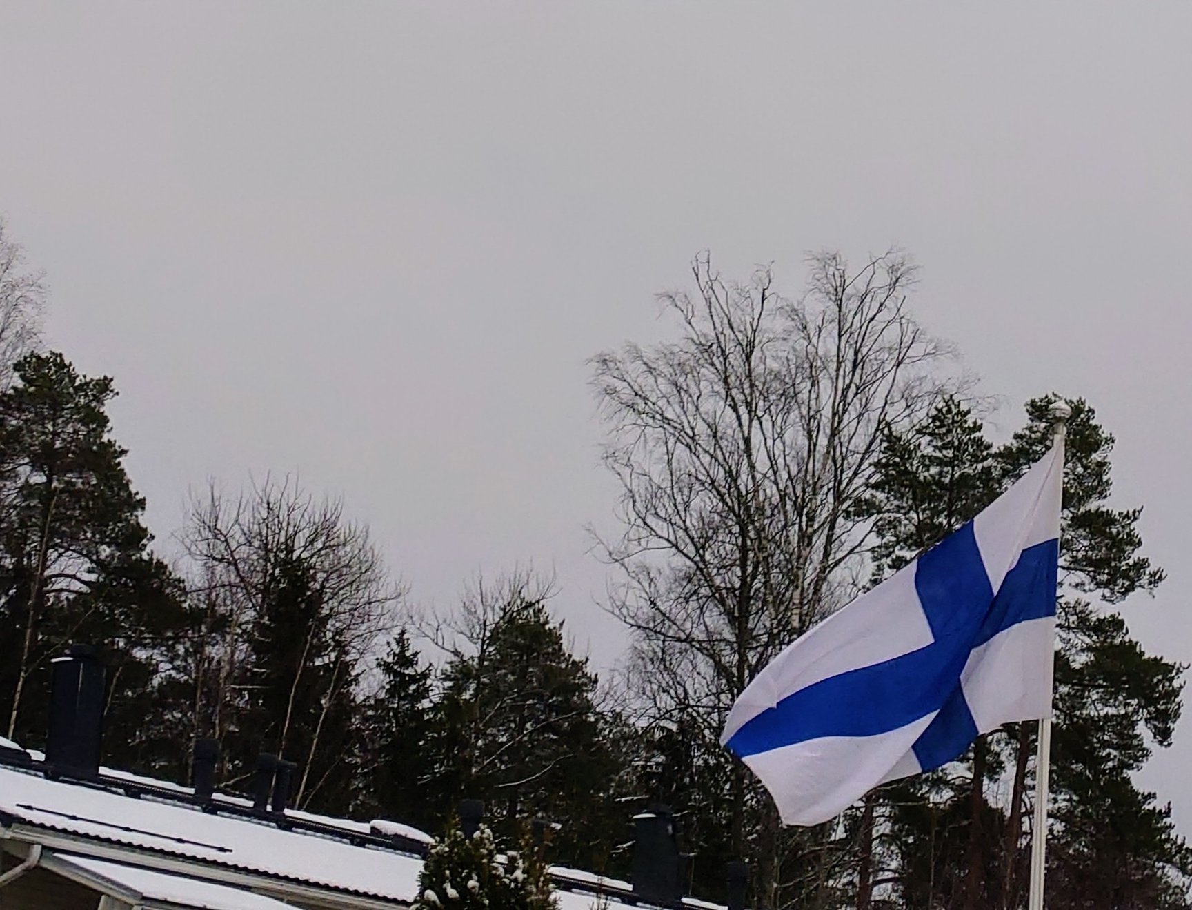 Kuva Suomen lipusta liehumassa lipputangossa