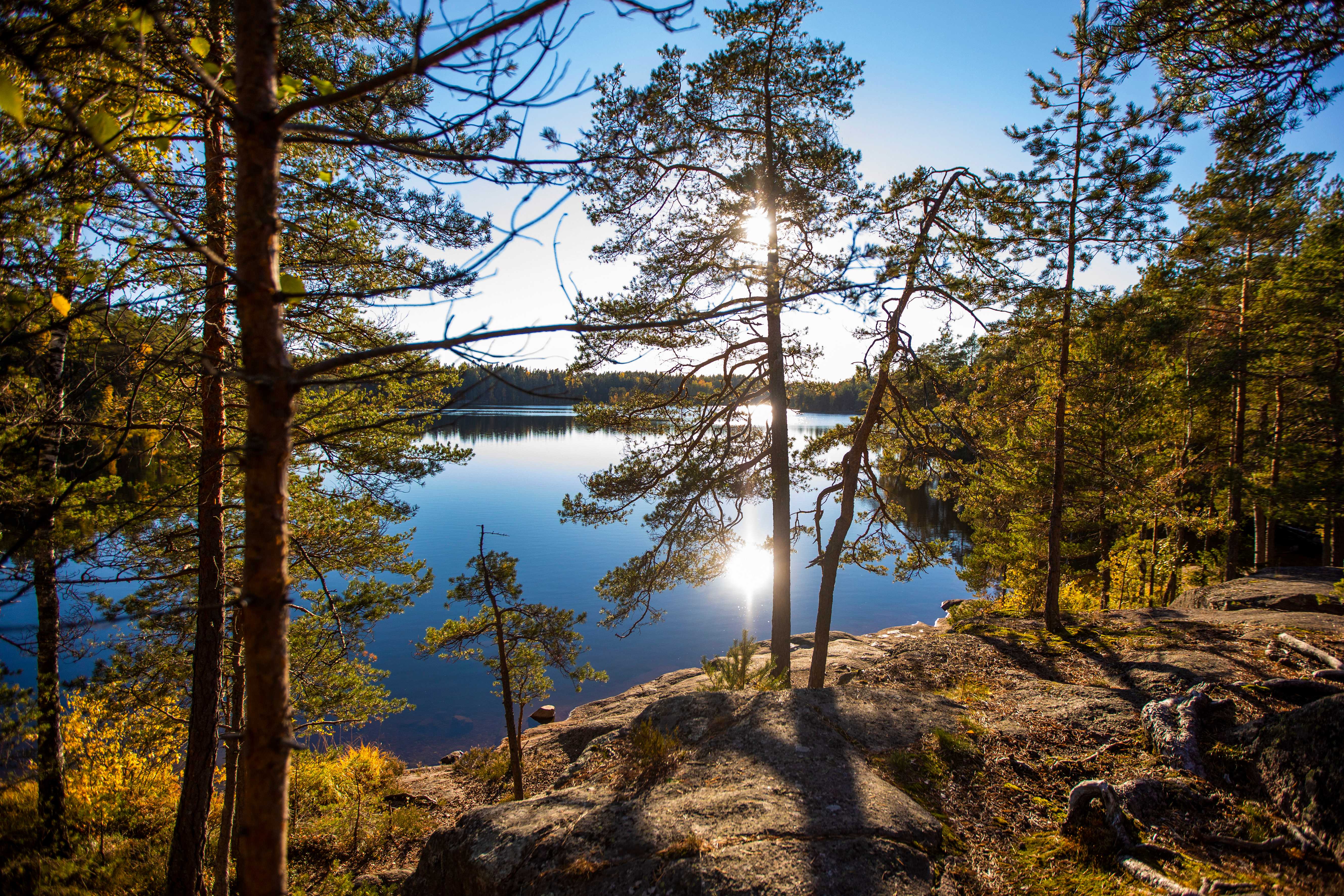 Kuva Kirkkonummelaisesta järvestä, edustalla kalliota, jolla kasvaa pari puuta ja kirkkaalla taivaalla paistaa aurinko